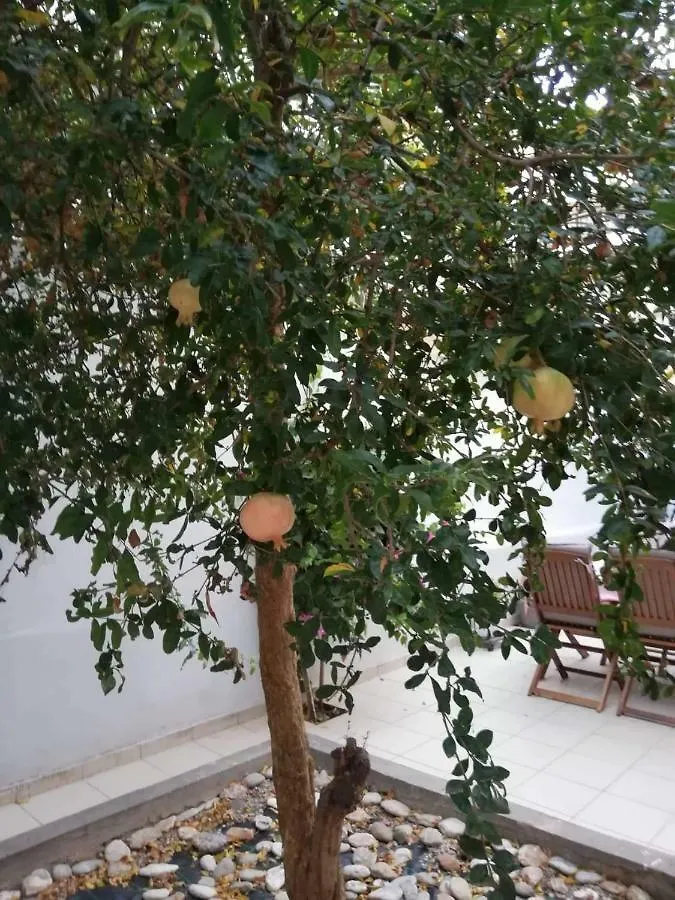 Pomegranate Apartment Heraklion   Heraklion (Crete)
